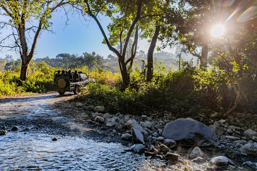 Jim Corbett