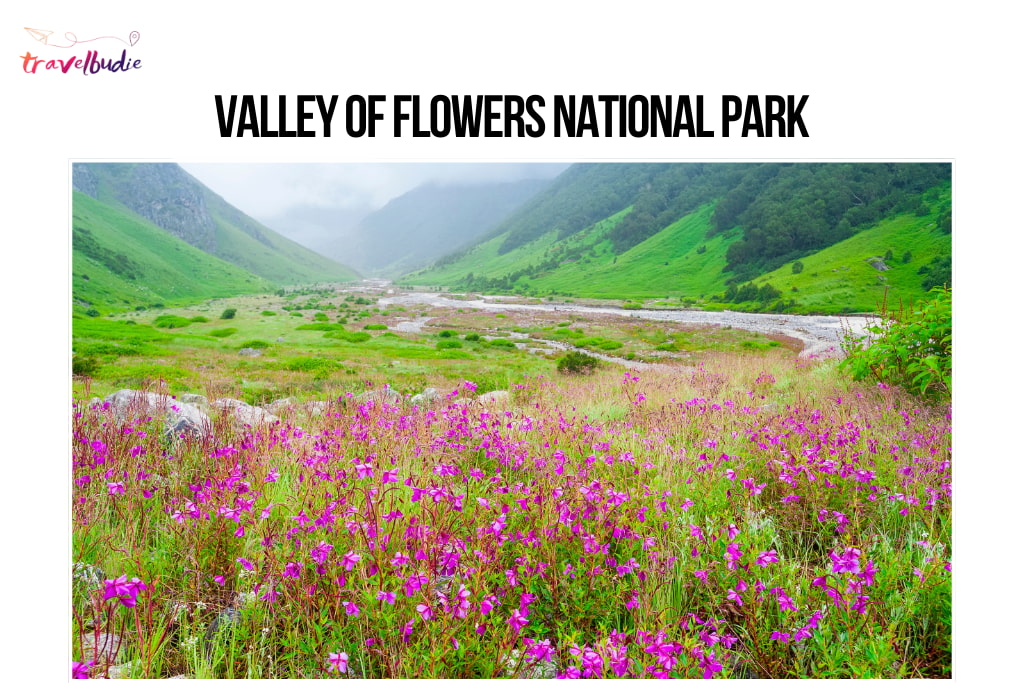 Valley of Flowers Travel Guide 2026 – Complete Guide for First‑Time Visitors - Featured Image
