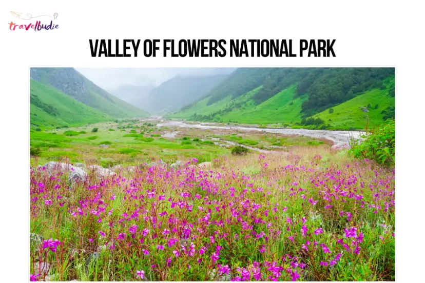 Valley of Flowers Travel Guide 2026 – Complete Guide for First‑Time Visitors - Featured Image