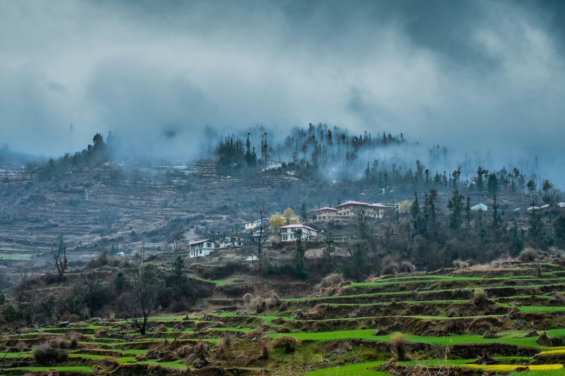 Barsu Uttarakhand India
