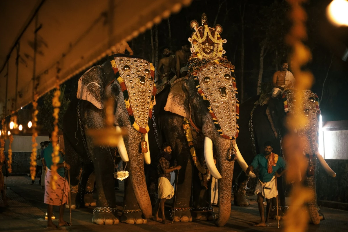 Onam festival elephant procession celebration in Kerala