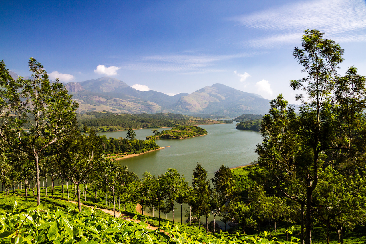 tea plantations in munnar kerala india