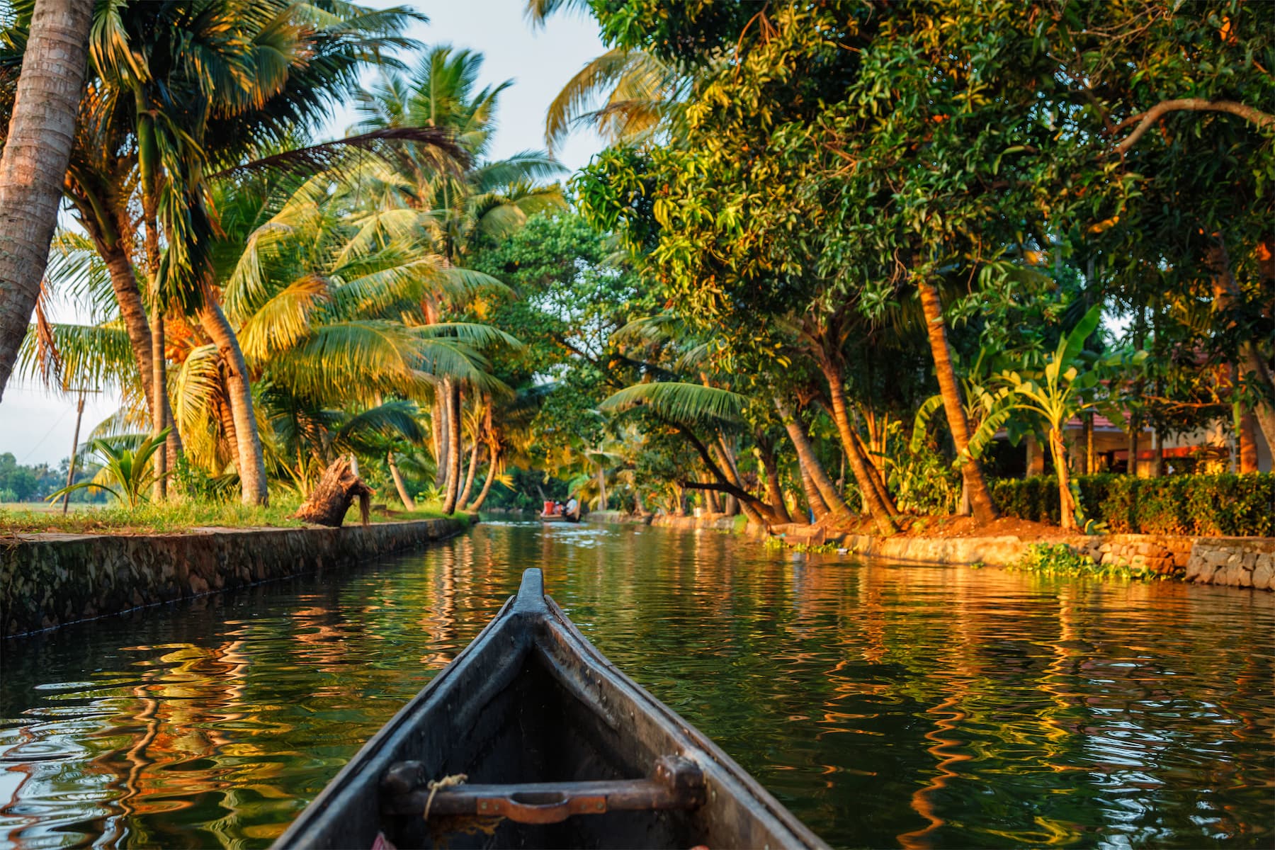 How Much Does a Budget Trip to Kerala Cost in 2026?