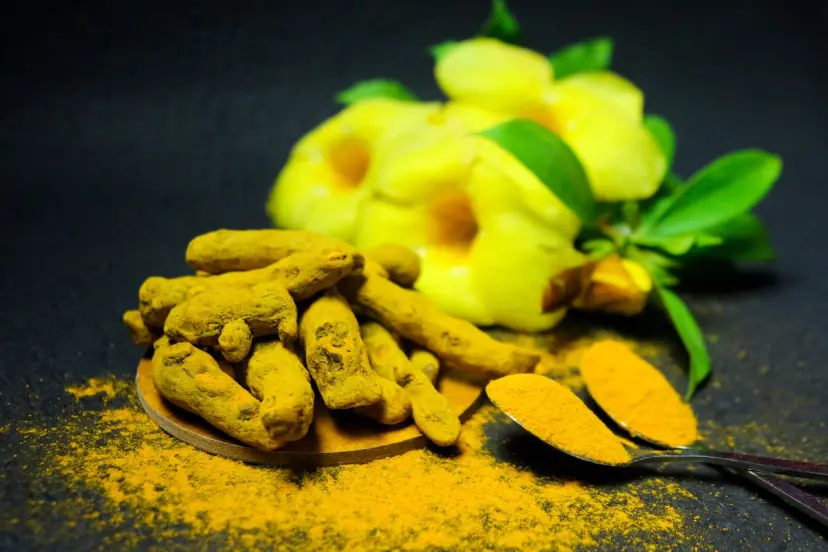 Ayurvedic Wellness Retreats