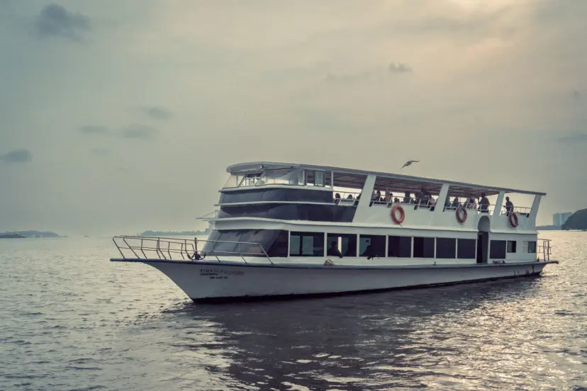 Cruise
