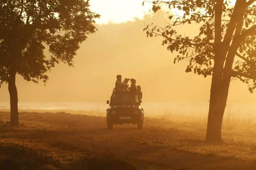 Wildlife Safaris