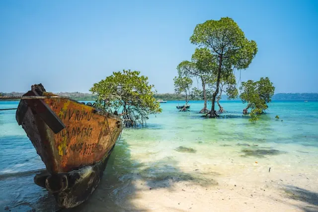 Andaman Edition of Honeymoon Bliss - 5Nights/6Days