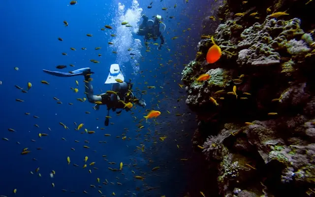 Andaman Tropical Tranquility - 4N/5D