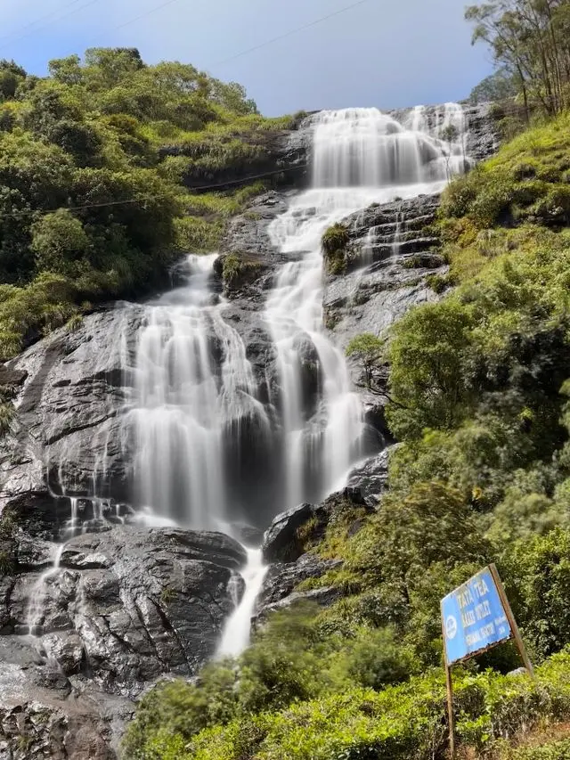 4 Nights 5 Days Munnar, Vagamon, Alleppey Package