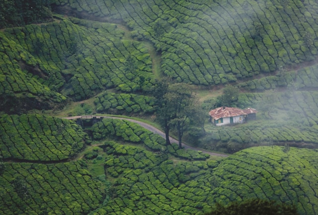 Kerala 4 Nights 5 Days Package
