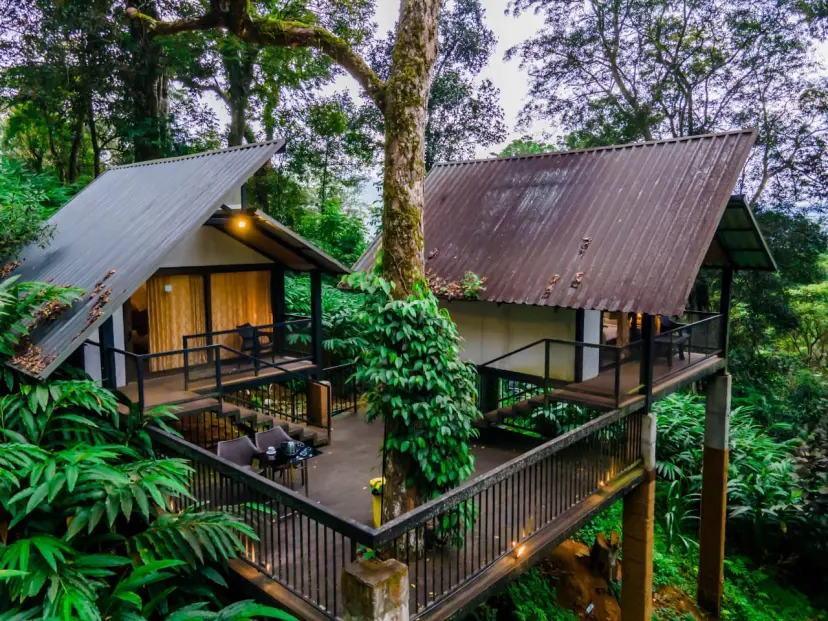 Tree House munnar