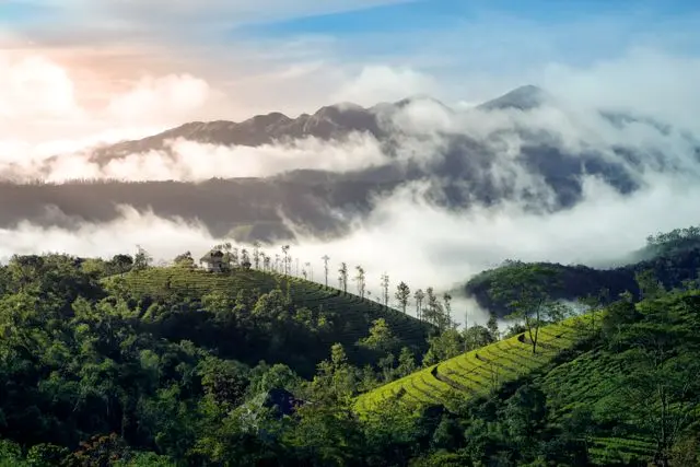 4 Nights 5 Days Munnar, Vagamon, Alleppey Package