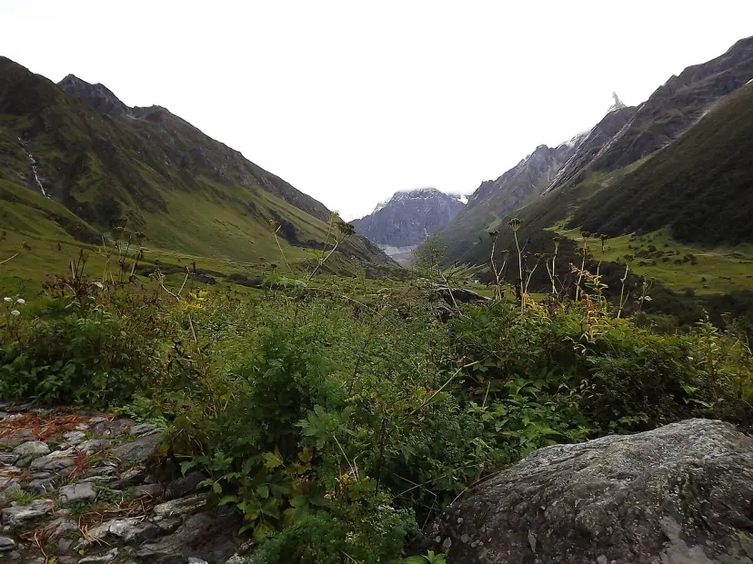 Valley of Flowers Trek
